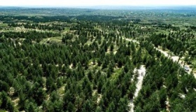 毛乌素沙漠面积有多大