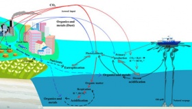 海洋酸化对海洋生物影响不大