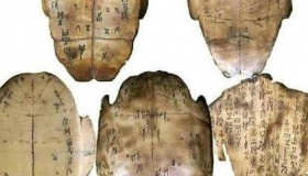 古人为什么用龟壳占卜