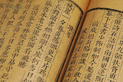 宋朝最主要的文学形式是什么