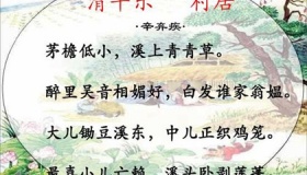 清平乐村居古诗的意思翻译