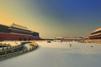 故宫为什么没有树