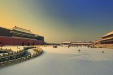 故宫为什么没有树