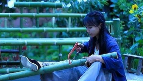 李子柒海外粉丝破千万