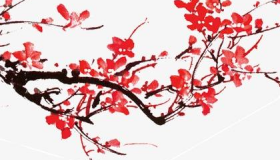 毛主席为什么偏爱梅花