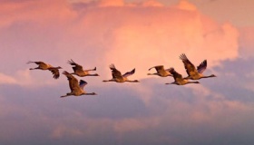 古人最重要的婚姻信物是什么