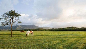 夏天心情说说感悟生活的句子